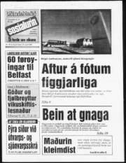 Síða 1