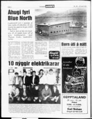 Síða 4