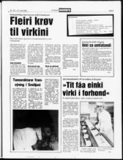 Síða 5