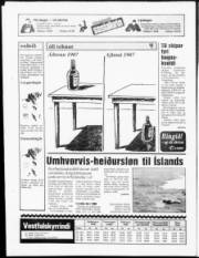 Síða 24
