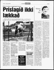 Síða 7