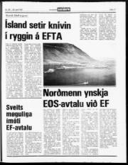 Síða 17
