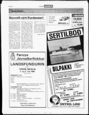 Síða 18