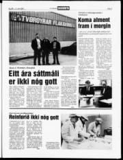 Síða 3