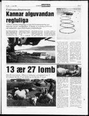 Síða 7
