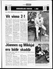 Síða 9