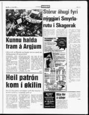 Síða 13