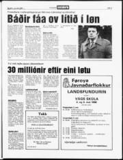 Síða 3
