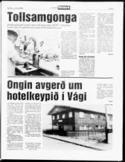 Síða 5