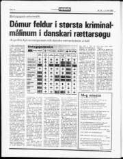 Síða 13