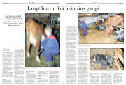 Síða 14