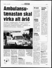 Síða 7