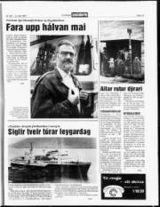 Síða 13