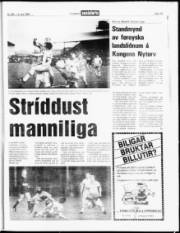 Síða 15