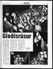 Síða 19