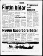 Síða 7