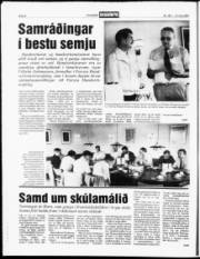 Síða 8
