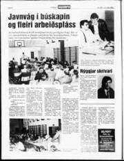 Síða 6