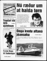 Síða 1