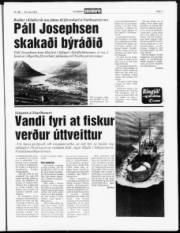 Síða 7