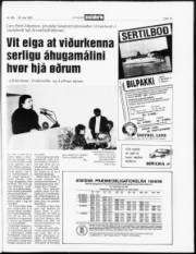 Síða 19