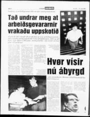 Síða 4