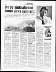 Síða 14