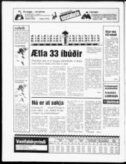 Síða 20