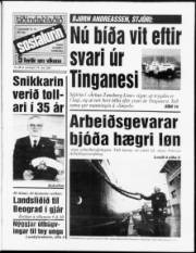 Síða 1