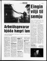 Síða 3