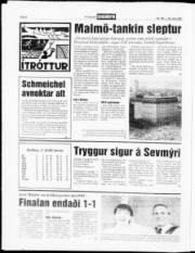 Síða 8
