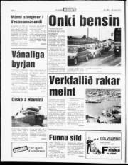 Síða 4