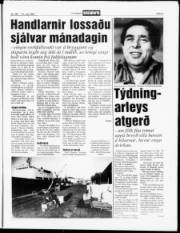 Síða 5