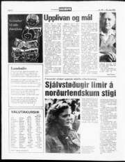 Síða 8