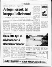 Síða 12