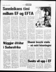 Síða 13