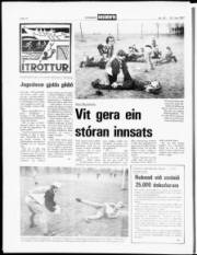 Síða 10