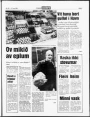 Síða 3