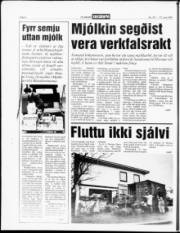 Síða 4