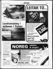 Síða 19