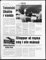 Síða 3