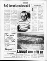 Síða 4