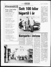 Síða 6