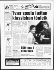 Síða 20