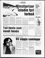 Síða 3