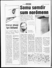 Síða 6