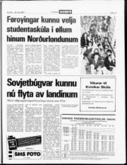 Síða 13