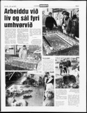 Síða 3