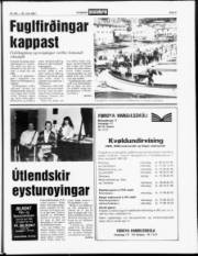 Síða 5