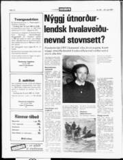 Síða 14